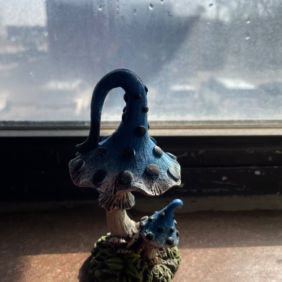 Garden mushroom - Picture 4 of 4